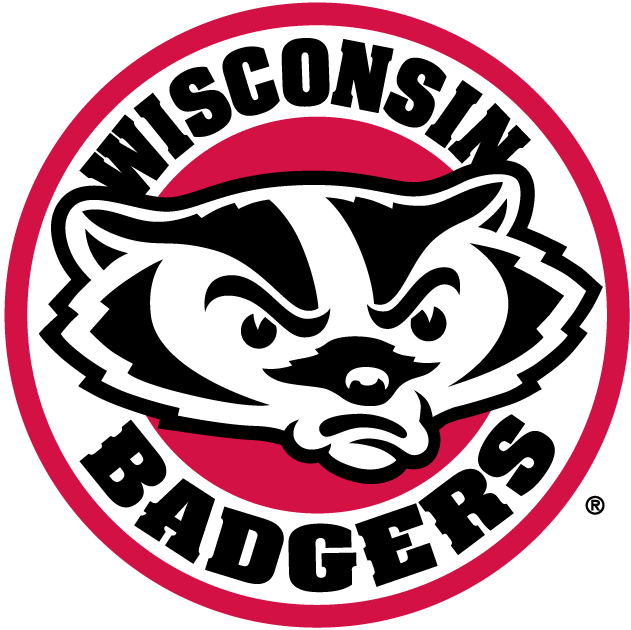 Wisconsin Badgers 2002-Pres Alternate Logo v2 iron on transfers for fabric